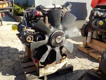 International item in auction