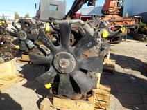 International item in auction