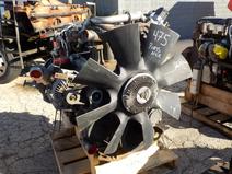 International item in auction