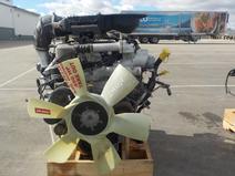 International item in auction