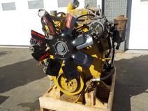 Caterpillar item in auction