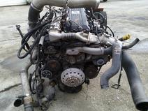 INTERNATIONAL item in auction