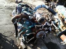 INTERNATIONAL item in auction