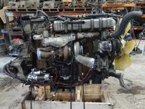 DETROIT item in auction