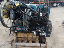 INTERNATIONAL item in auction