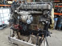 DETROIT item in auction