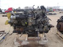 DETROIT item in auction