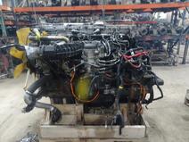 DETROIT item in auction