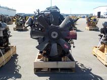 INTERNATIONAL item in auction