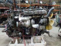 DETROIT item in auction