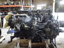 DETROIT item in auction