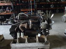 International item in auction