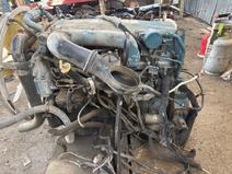 International item in auction