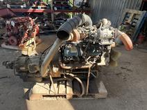 International item in auction