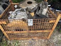 Cat item in auction