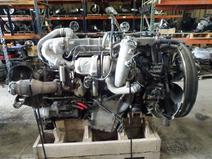 International item in auction