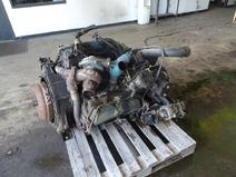 International item in auction