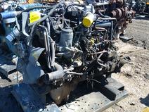 MERCEDES item in auction