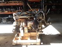 International item in auction