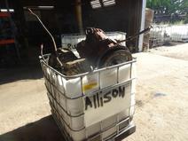 Allison item in auction