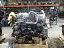 MACK item in auction