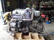 MACK item in auction