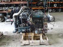 International item in auction