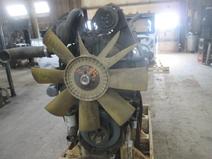 DETROIT item in auction
