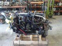 International item in auction