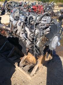 International item in auction