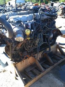 International item in auction