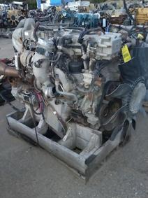 International item in auction