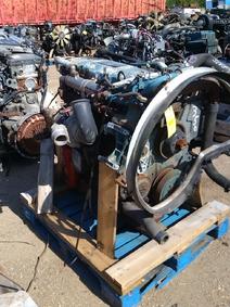 International item in auction